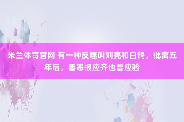 米兰体育官网 有一种反噬叫刘亮和白鸽，仳离五年后，善恶报应齐也曾应验