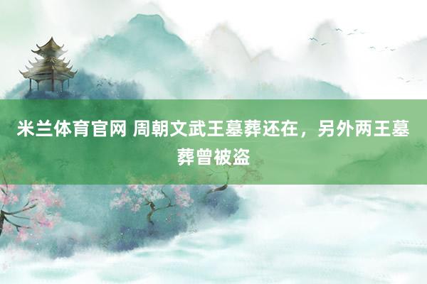 米兰体育官网 周朝文武王墓葬还在，另外两王墓葬曾被盗