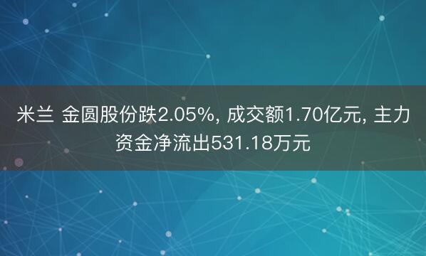 米兰 金圆股份跌2.05%， 成交额1.70亿元， 主力资金净流出531.18万元