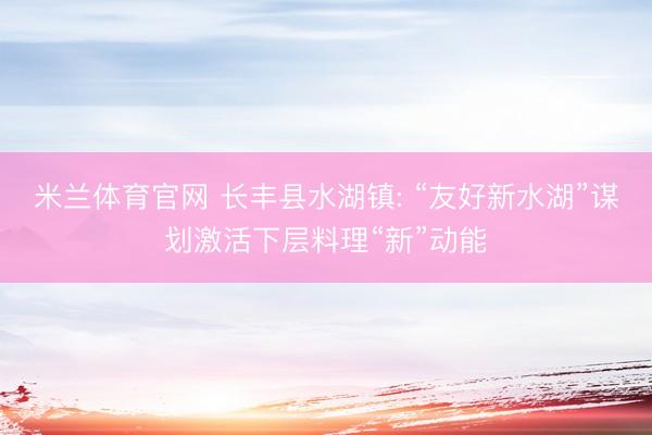 米兰体育官网 长丰县水湖镇: “友好新水湖”谋划激活下层料理“新”动能