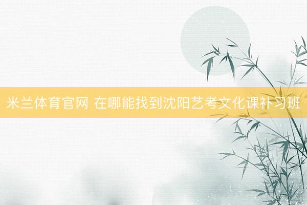 米兰体育官网 在哪能找到沈阳艺考文化课补习班